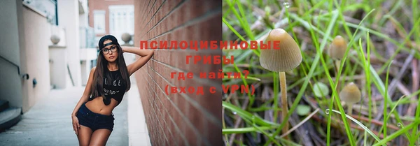 молекула духа Лабытнанги