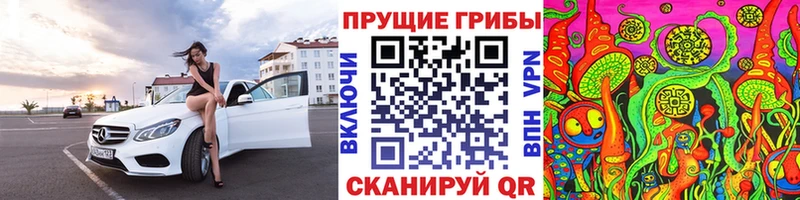 Псилоцибиновые грибы GOLDEN TEACHER  Купить где  Сорск 